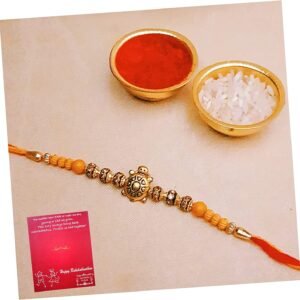 Turtle Rakhi