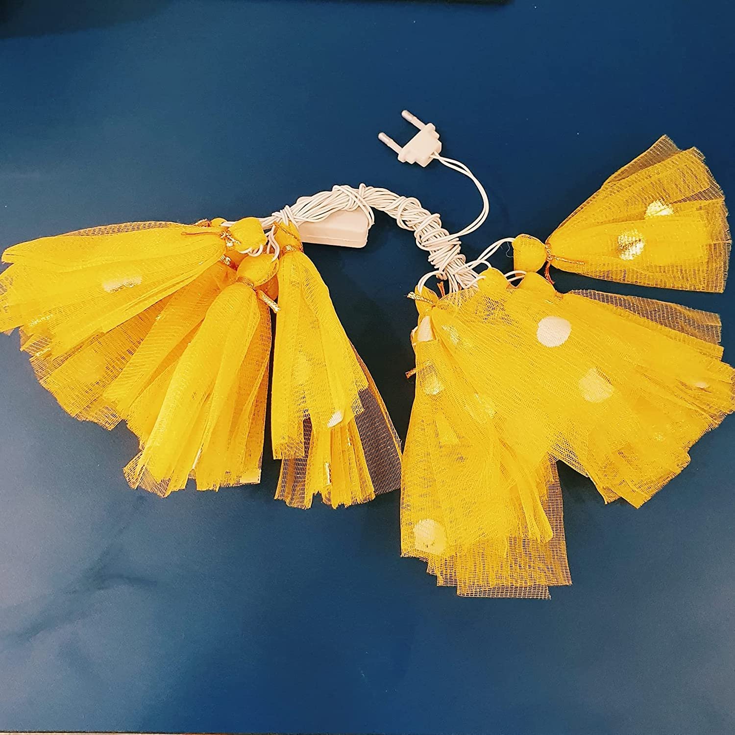 81WY+ciORjL._SL1500_