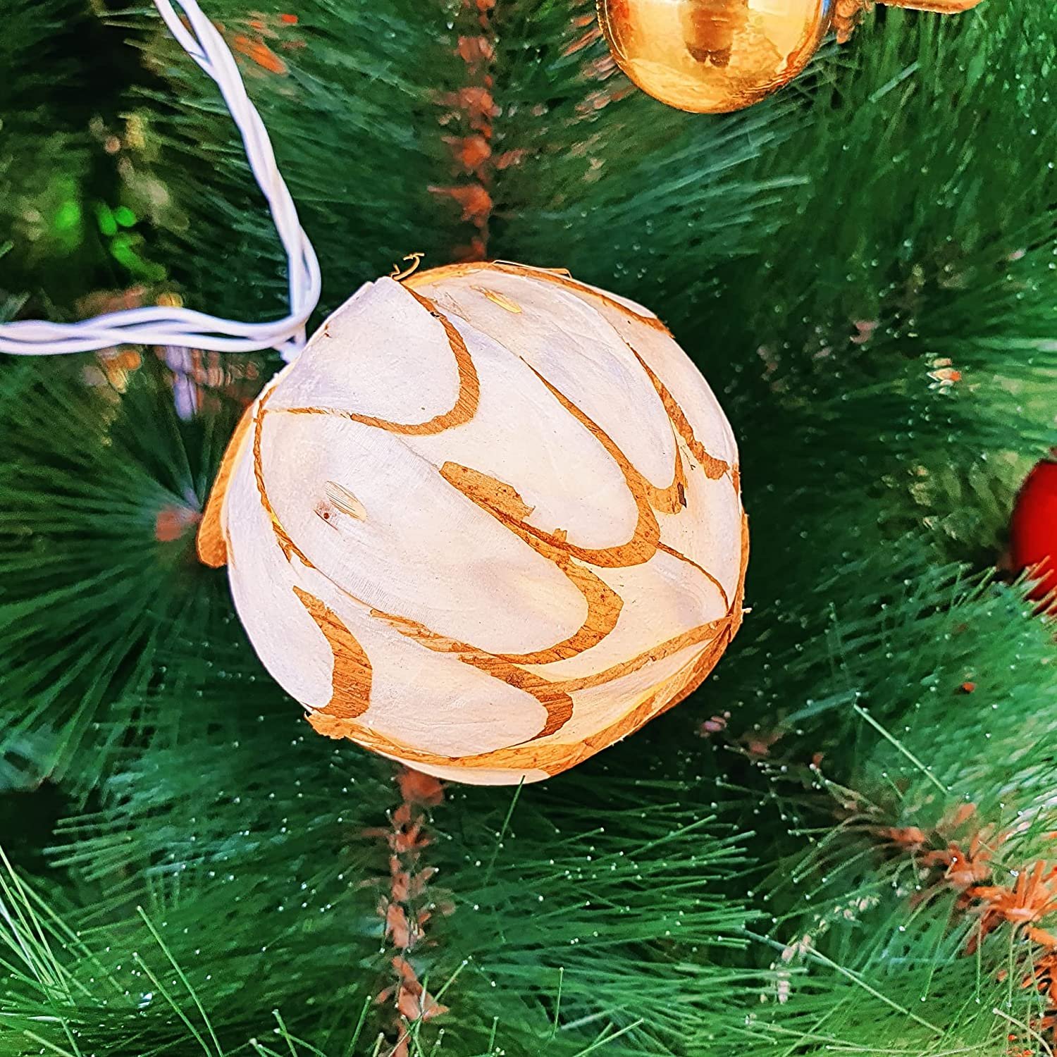 81o7fQE6EWL._SL1500_